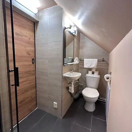 Czechia ホテル 3*